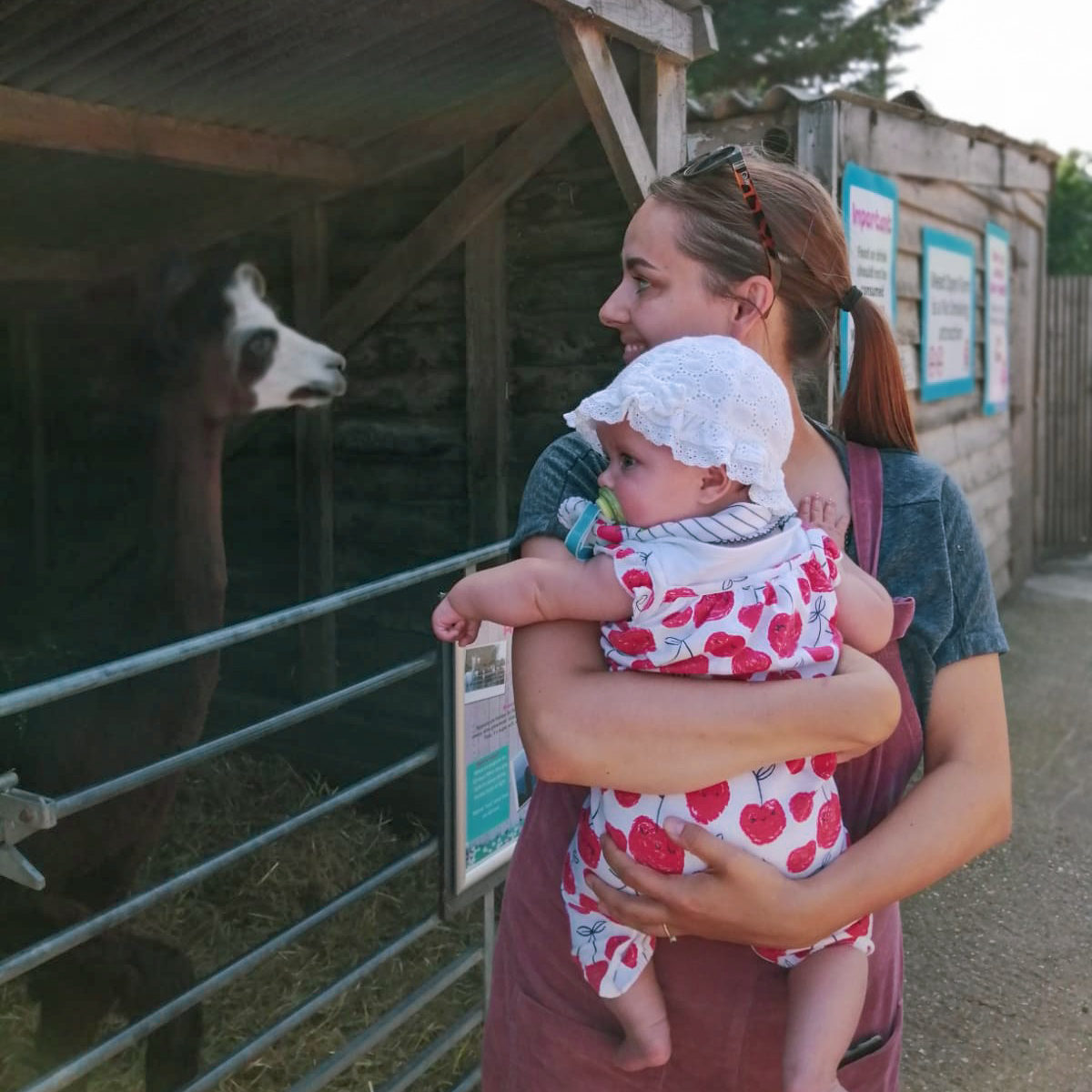 Me and Indi at Mead Open Farm